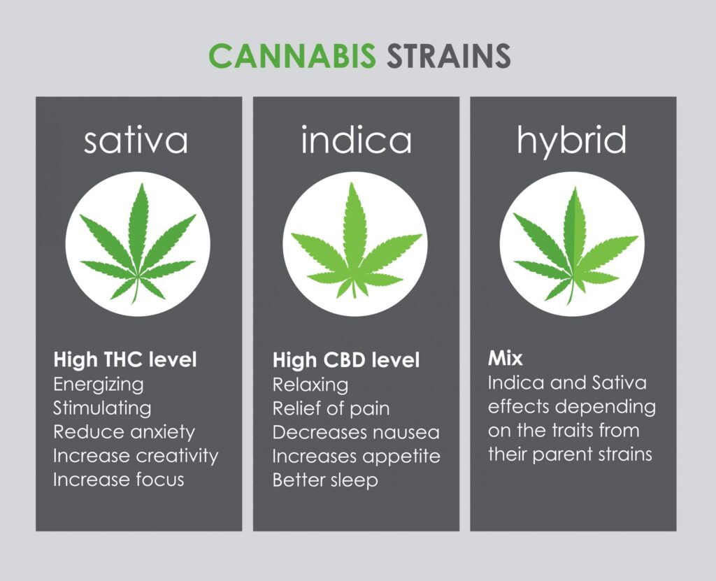 weed strains